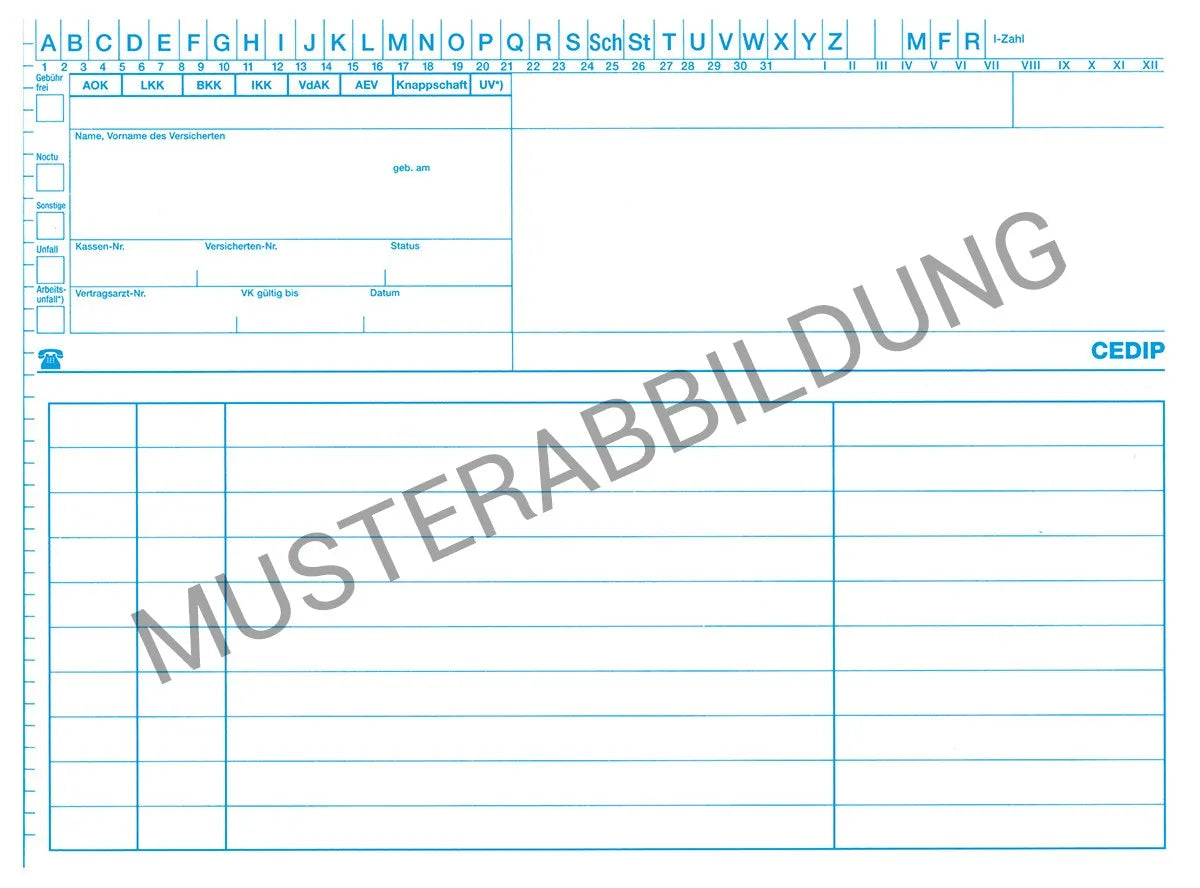SUPRA Karteimappe Allgemein, 250 Stück