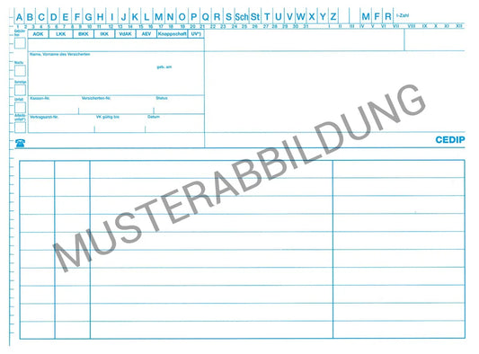 SUPRA Karteimappe Allgemein, 250 Stück
