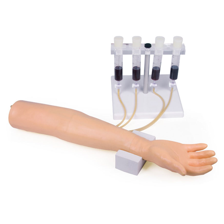 Trainingsarm für intravenöse Injektion und Infusion – Erwachsenenmodell