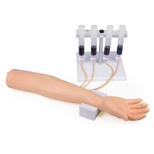 Trainingsarm für intravenöse Injektion und Infusion – Erwachsenenmodell