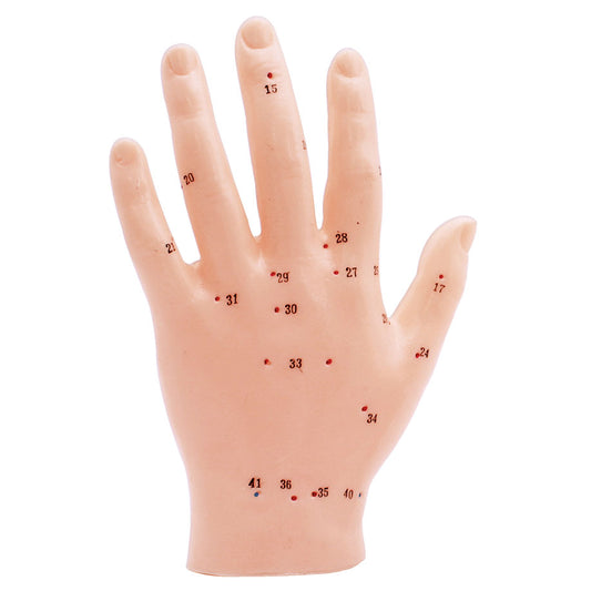 Akupunkturmodell Hand – ca. 13 cm